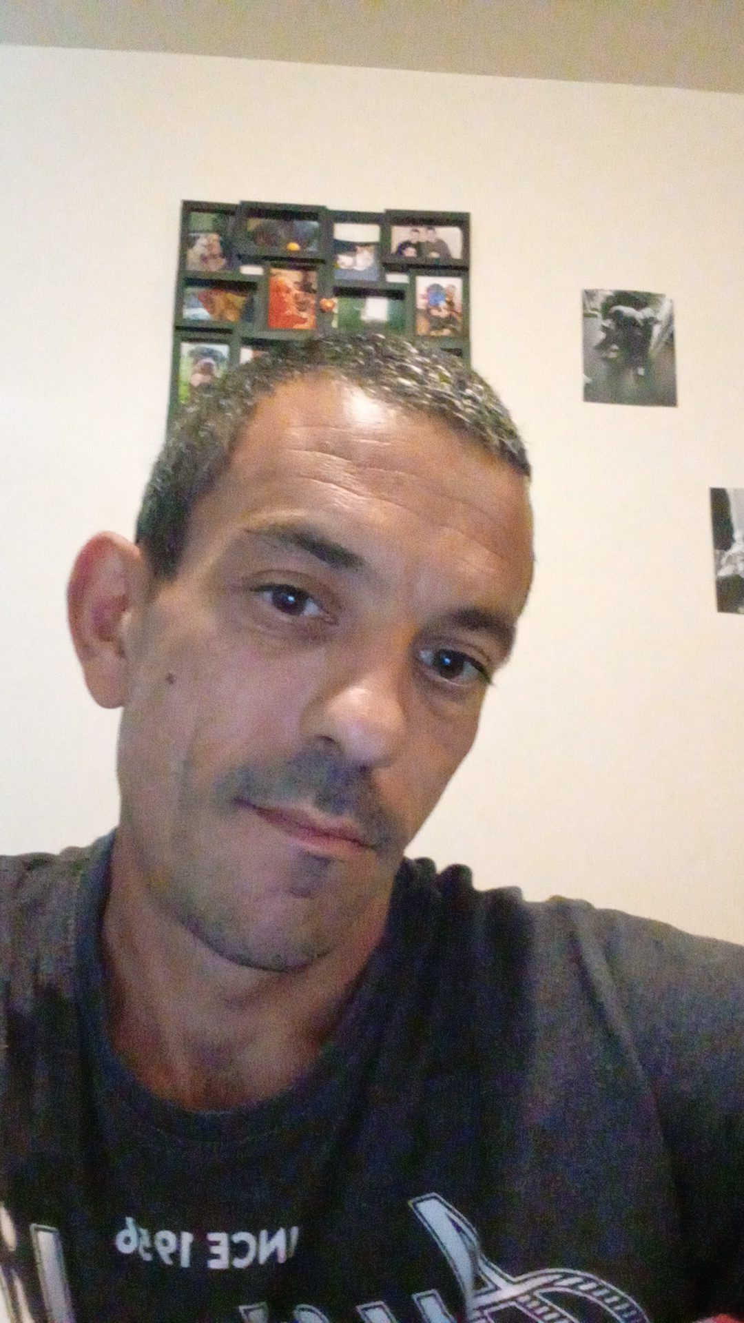Perfil de Misel